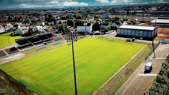 是球员与教 是球员与教