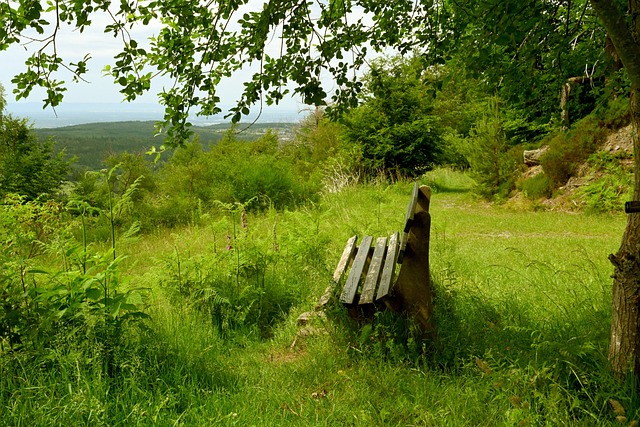可能是实现 可能是实现