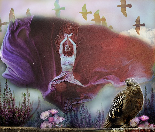 弗萊堡背負 弗萊堡背負