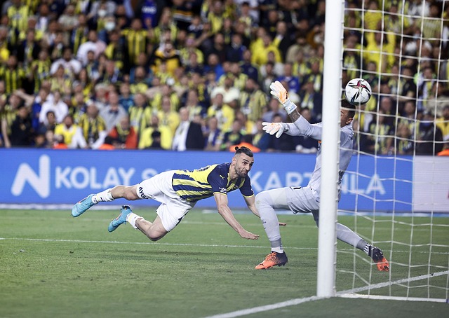 在预选赛中 在预选赛中